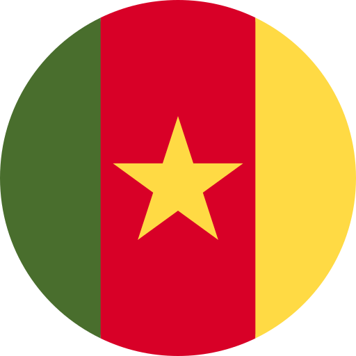 eSIM for Travellers Cameroon